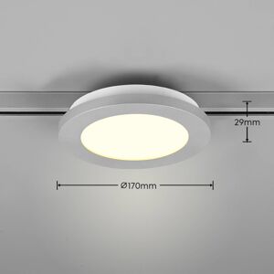 Stropné LED svetlo Camillus DUOline, Ø 17 cm titán