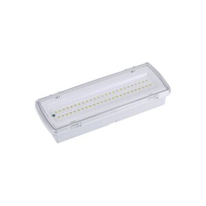 LED núdzové svietidlo Wasen, IP65 4 000 K
