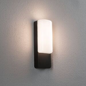 Vonkajšie nástenné svietidlo Paulmann LED Bonnie, hliník, antracit