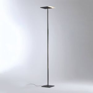Bopp Flat stojaca LED lampa, stmievač antracit