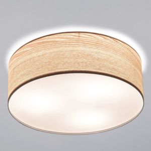 Paulmann Liska stropné svietidlo vo svetlom dreve