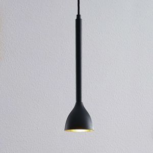 Závesná lampa Nordwin, 1 svetlo, čierno-zlatá